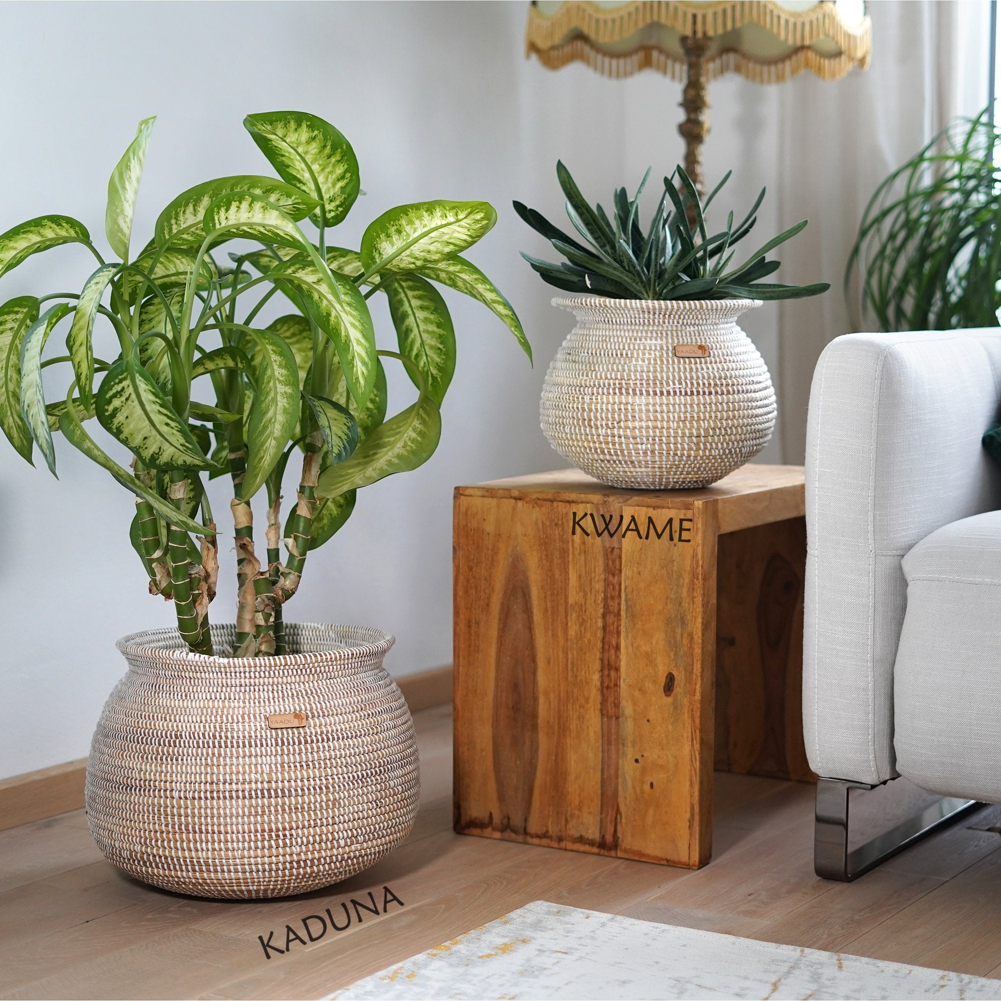 African Plant Basket – Kwame