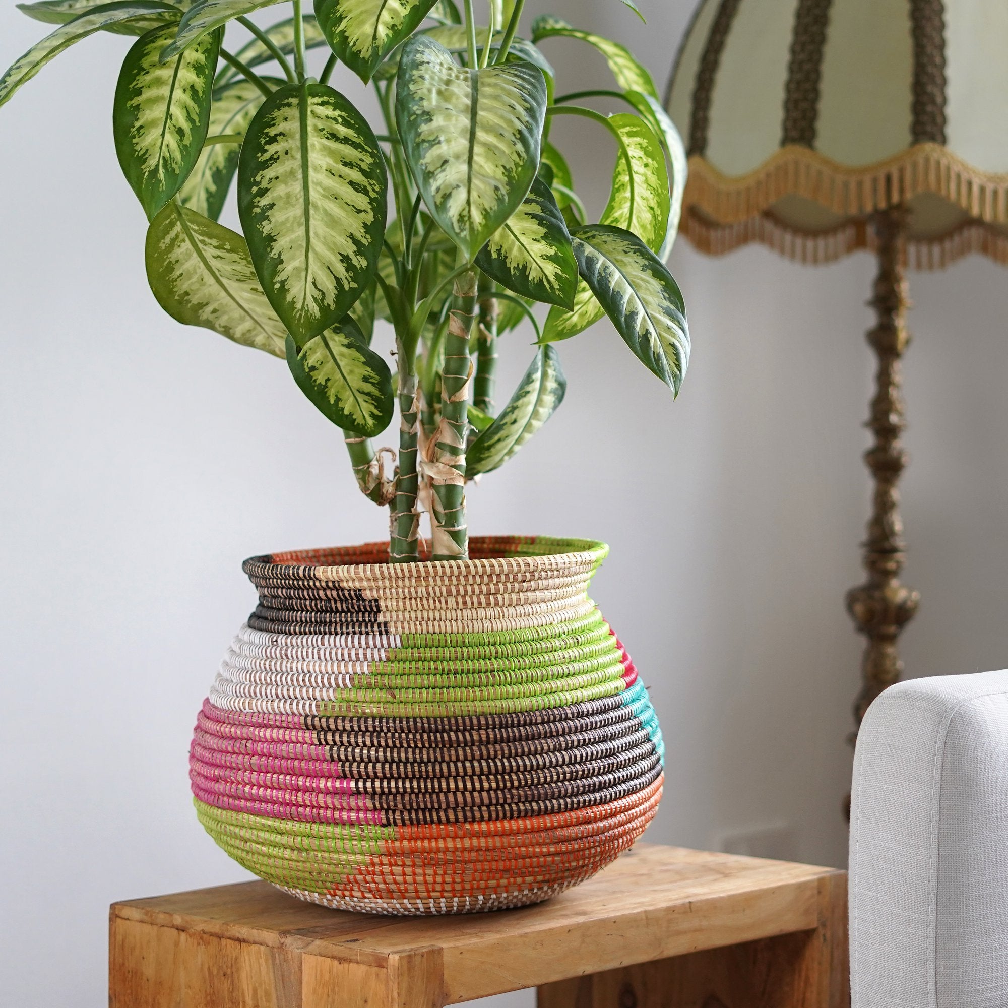 Large African Plant Basket – Amina
