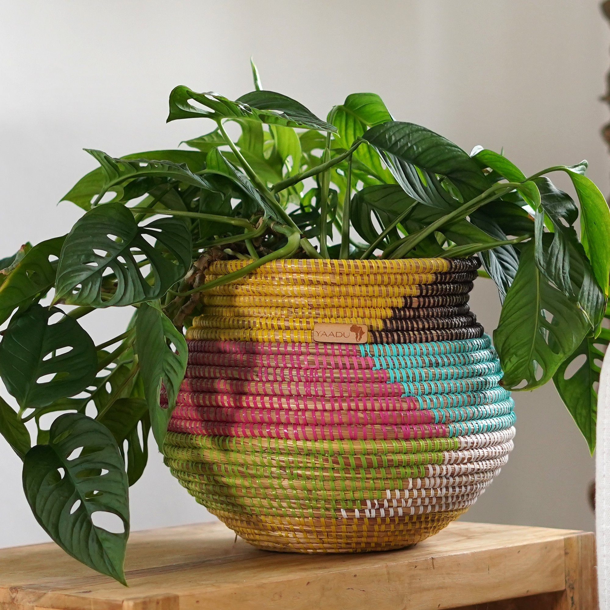 African Plant Basket – Soyinka